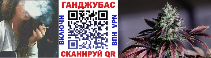 Продажа наркотиков Жирновск A-PVP  МЕФ  Конопля  КОКАИН 