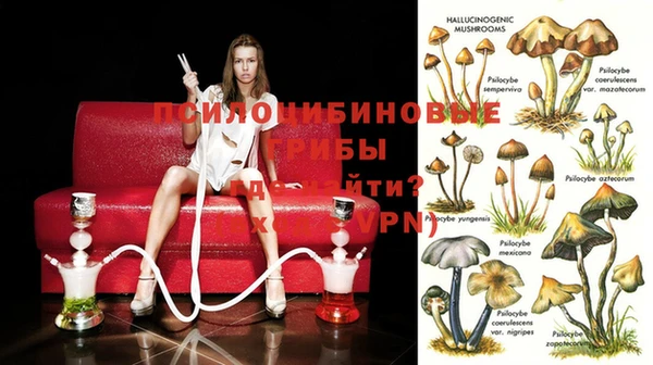 бошки Зеленокумск