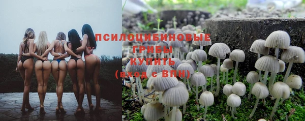 гидропоника Арсеньев
