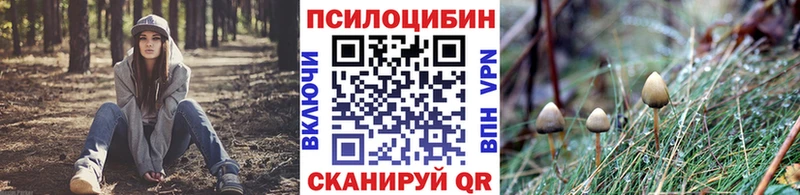 Псилоцибиновые грибы Psilocybe  купить закладку  hydra как зайти  Жирновск 